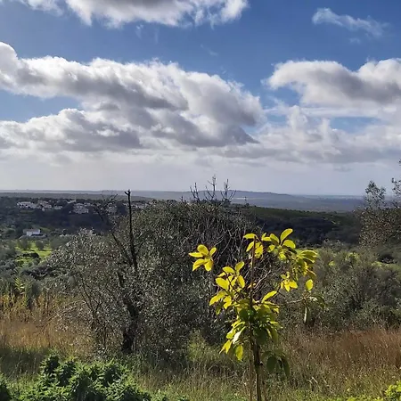 Casa Delfim - Casas Azul&verde Feriehus *