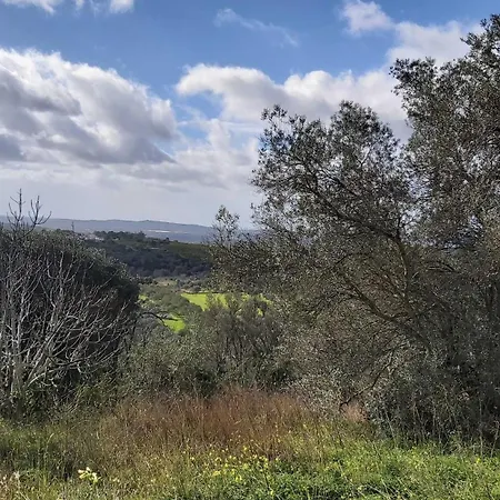 Feriehus Casa Delfim - Casas Azul&verde
